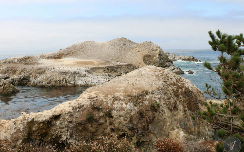 Réserve Point Lobos - Californie - USA - 2017