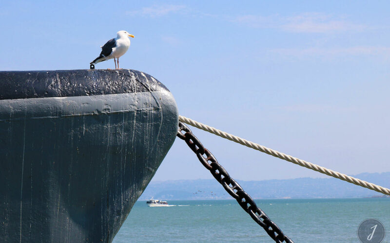Fishermans Wharf - San Francisco - Californie - USA - 2017