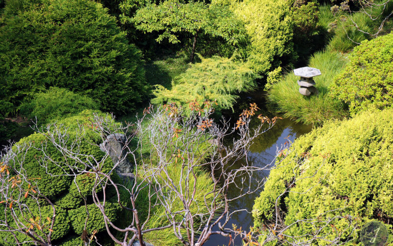 Japanese Tea Garden - San Francisco - Californie - USA - 2017