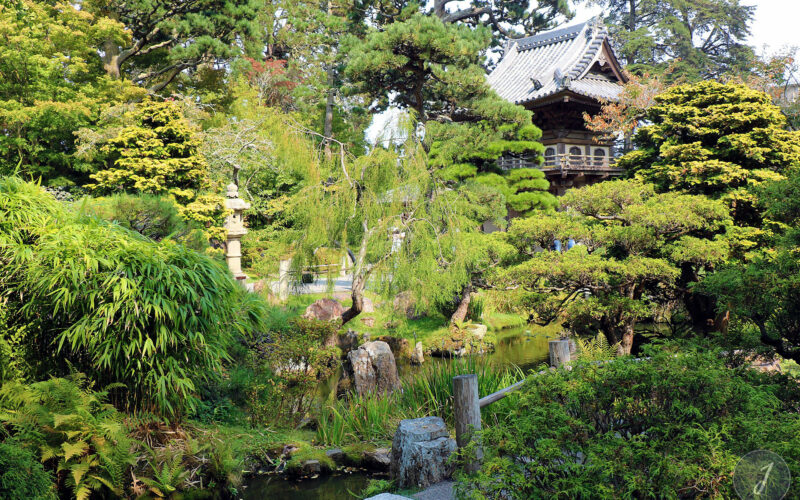 Japanese Tea Garden - San Francisco - Californie - USA - 2017