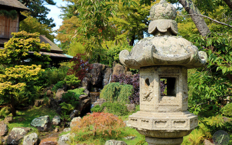 Japanese Tea Garden - San Francisco - Californie - USA - 2017