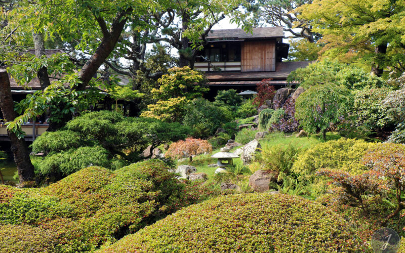 Japanese Tea Garden - San Francisco - Californie - USA - 2017