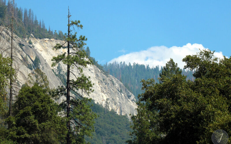 Yosemite Park - Californie - USA - 2017