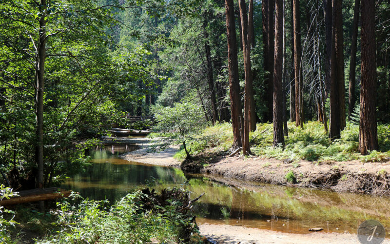Yosemite Park - Californie - USA - 2017