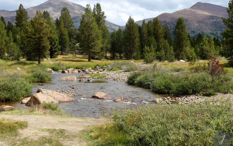 Yosemite Park - Californie - USA - 2017
