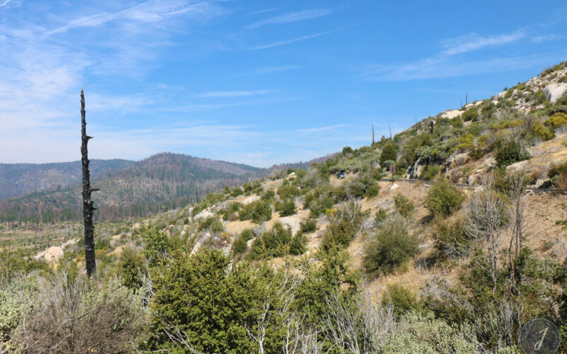 Yosemite Park - Californie - USA - 2017