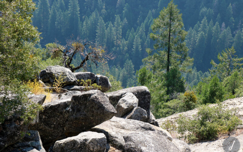 Yosemite Park - Californie - USA - 2017