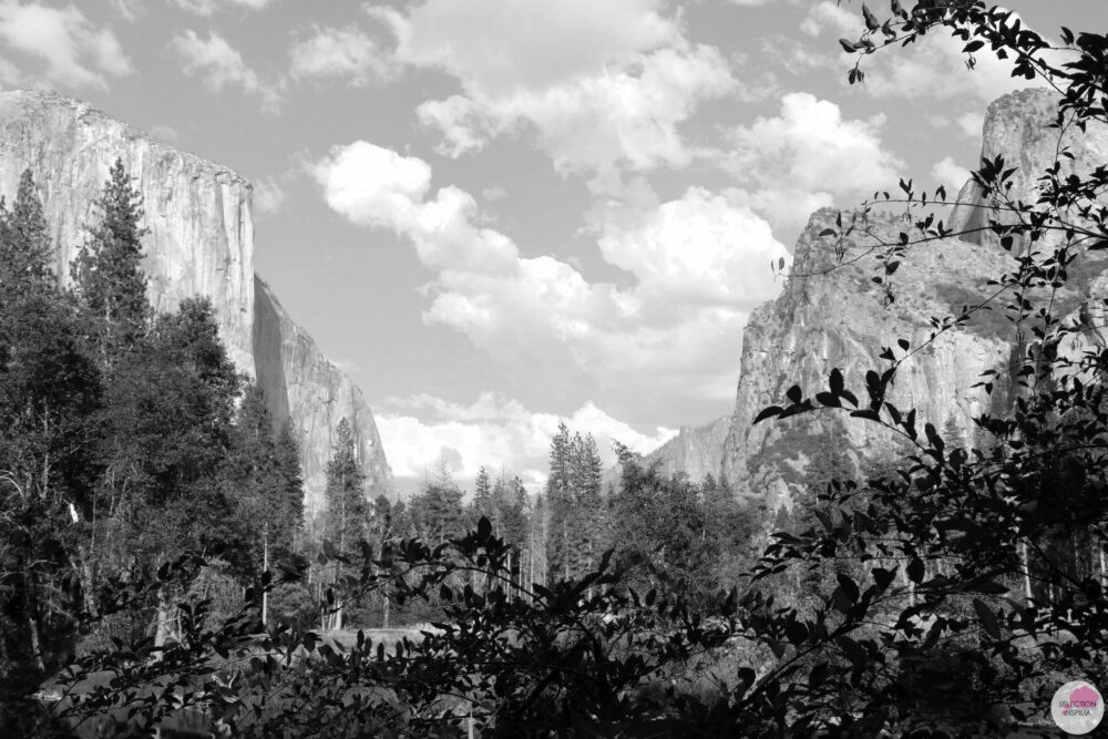 Mon Road Trip californien : Yosemite Park