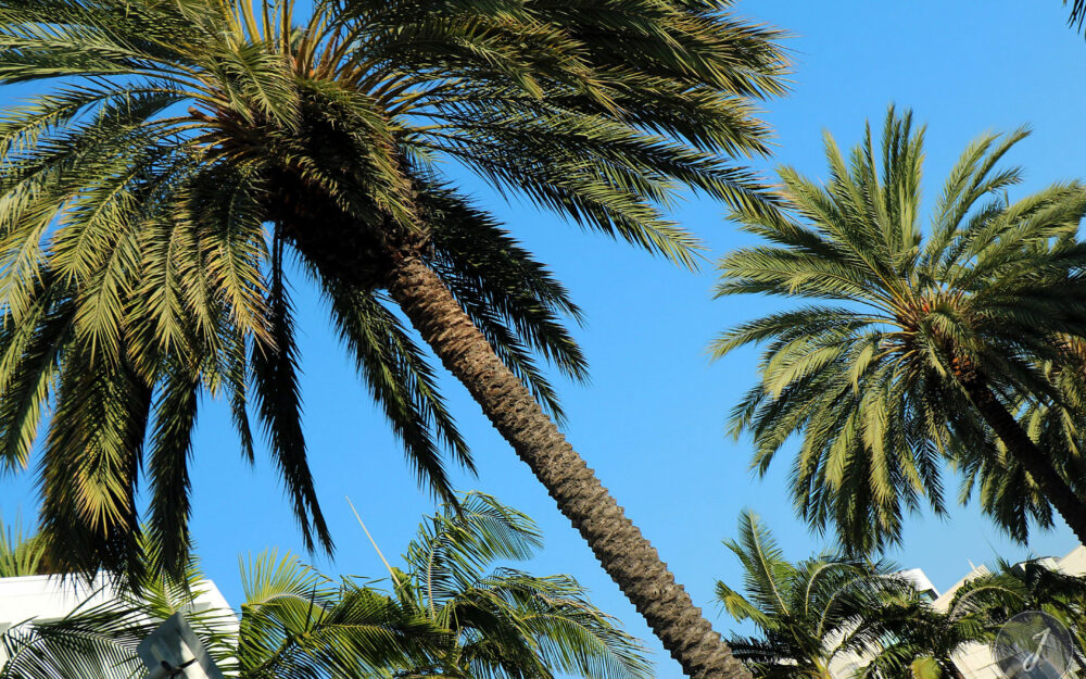 Los Angeles - Californie - USA - 2017