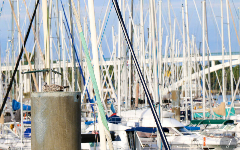 La Trinité sur Mer - Bretagne - 2016