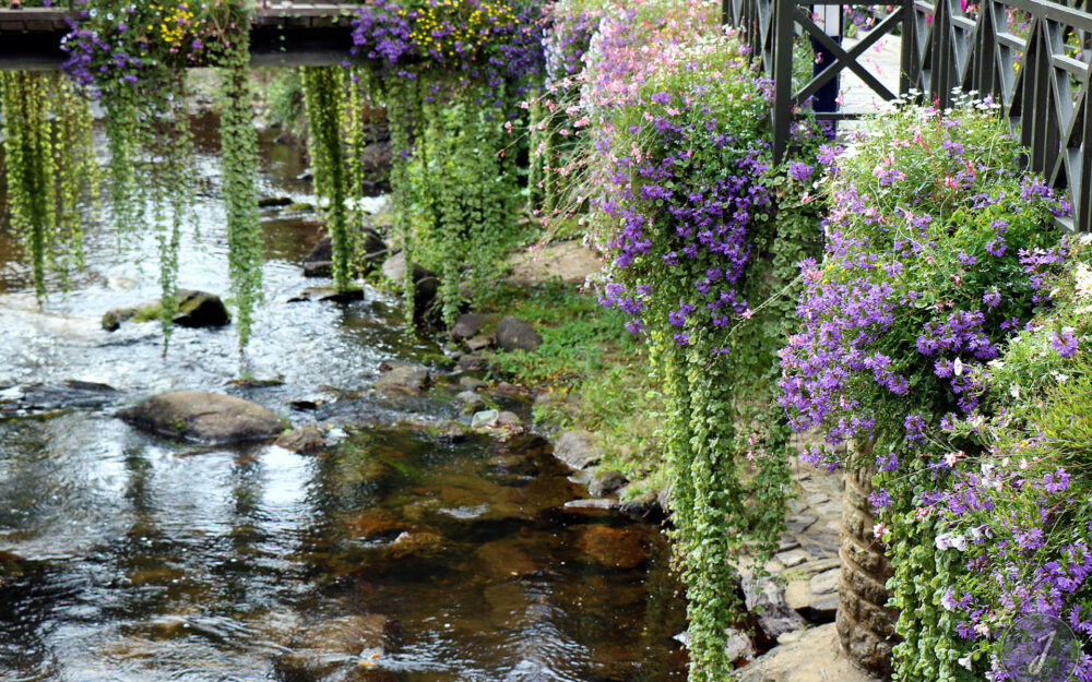Pont-Aven - Bretagne - 2016