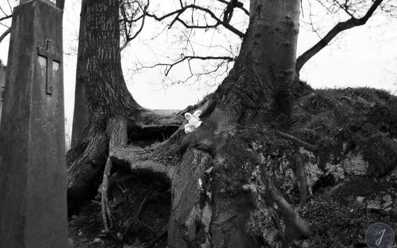 Il était une fois – Photographie – 2000