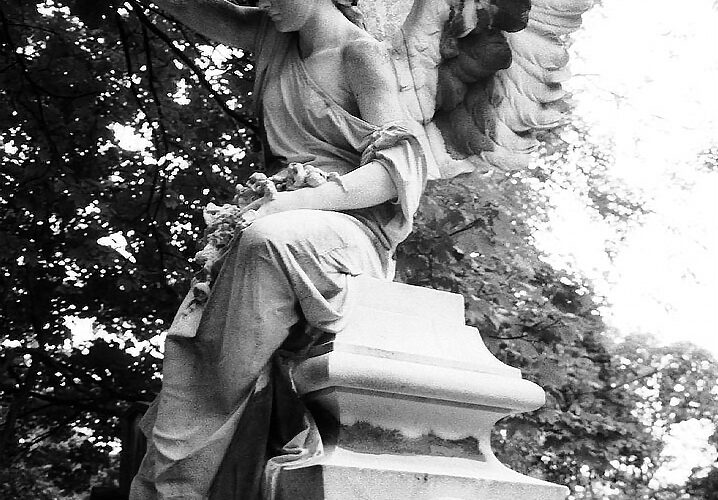 Il était une fois – Photographie – 2000