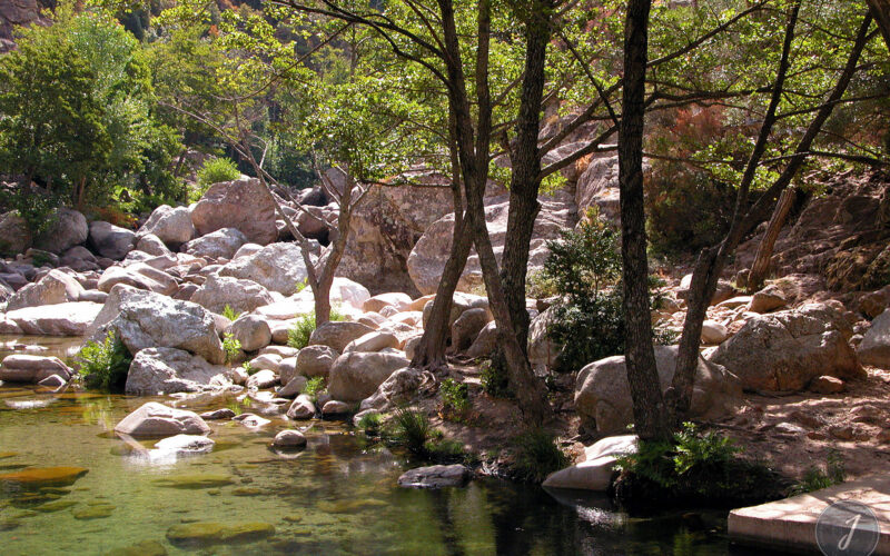 Lac Noir - Corse - 2003