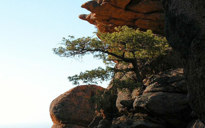 Piana - Corse - 2003