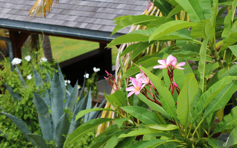 Saint-Barthélemy - 2016