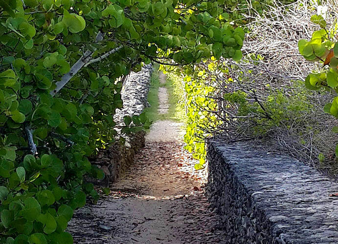 Grand Fond - Saint Barthélemy - 2013