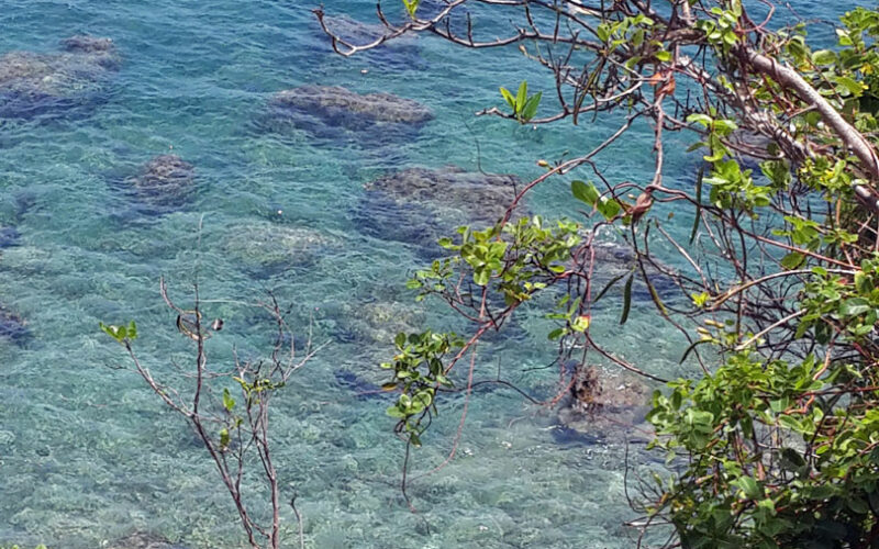 Petite Anse - Saint Barthélemy - 2014