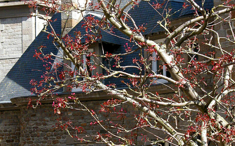 Mont Saint Michel - 2004