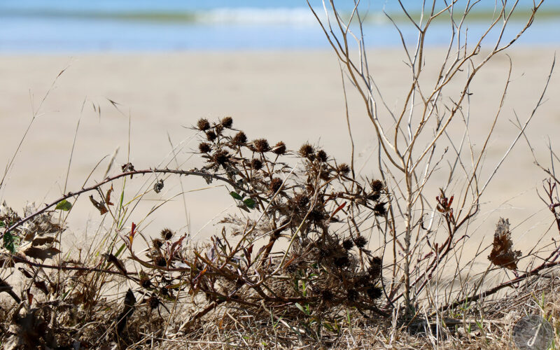 Le Fort Bloqué - Bretagne - 2018