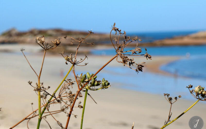 La Grève Blanche - Bretagne - 2018