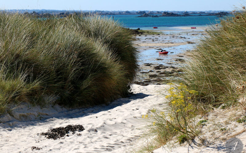 Ile de Batz - Bretagne - 2018