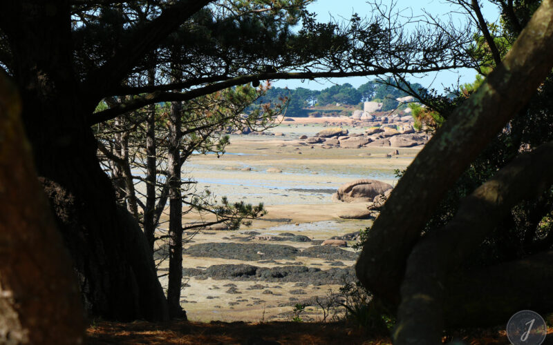 Ploumanac'h - Bretagne - 2018