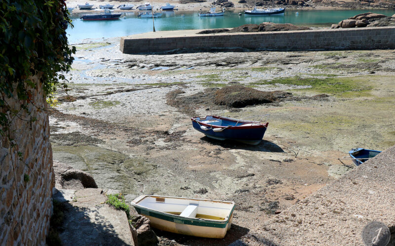 Ploumanac'h - Bretagne - 2018
