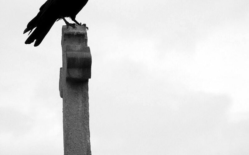 Cimetière Montparnasse - Paris - 2009