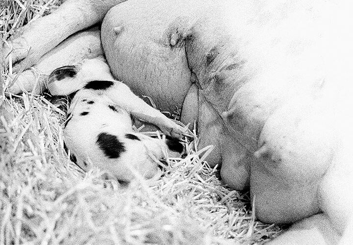 Salon de l'Agriculture - Paris - 2004