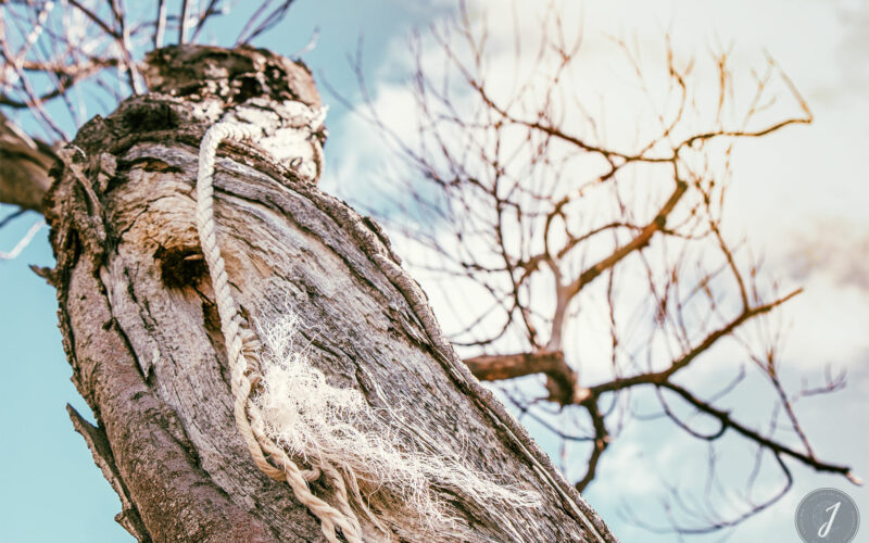 Azur - Grande Saline - Saint-Barthélemy - 2020