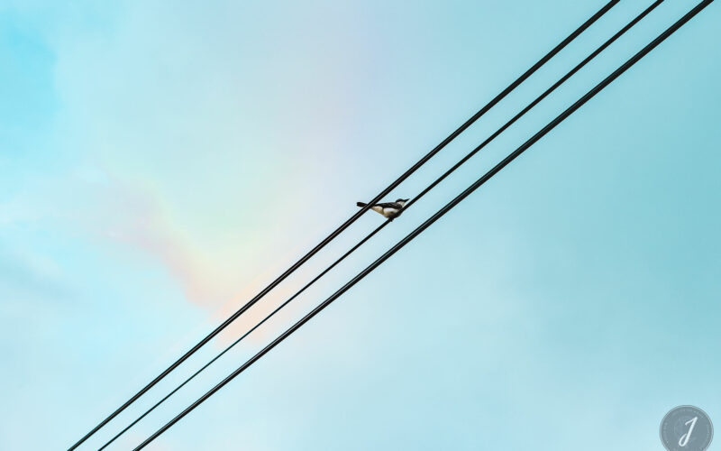 Azur - Grande Saline - Saint-Barthélemy - 2020