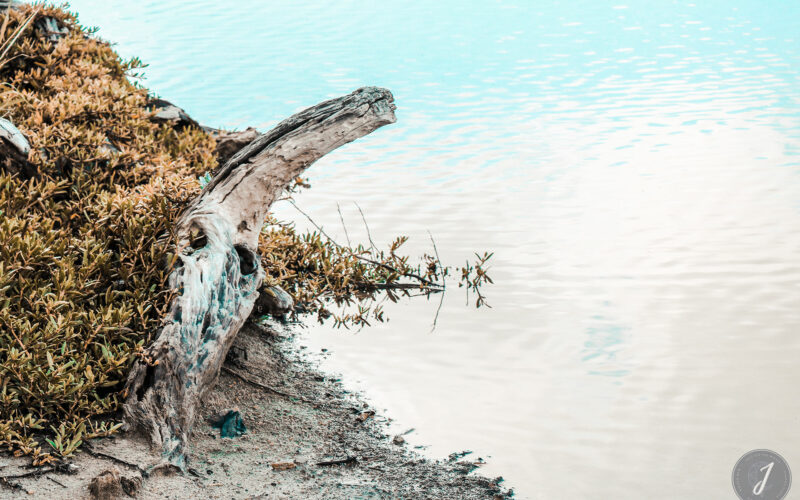 Azur - Grande Saline - Saint-Barthélemy - 2020