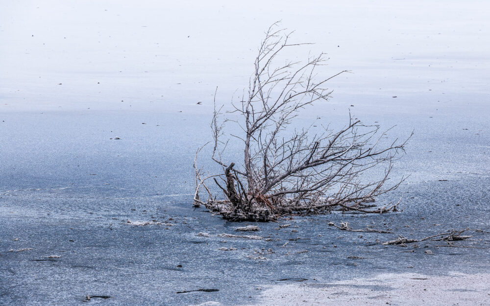 Neige Estivale - Lumière Salée - Grande Saline - Saint-Barthélemy - 2020