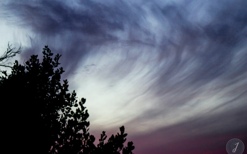 Ombres Chinoises - Lumière Salée - Grande Saline - Saint-Barthélemy - 2020