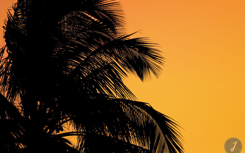 Ombres Chinoises - Lumière Salée - Grande Saline - Saint-Barthélemy - 2020