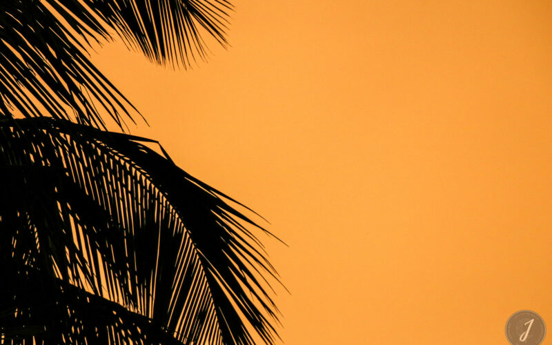 Ombres Chinoises - Lumière Salée - Grande Saline - Saint-Barthélemy - 2020