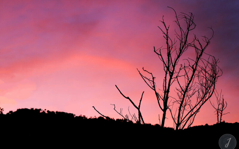 Ombres Chinoises - Lumière Salée - Grande Saline - Saint-Barthélemy - 2020