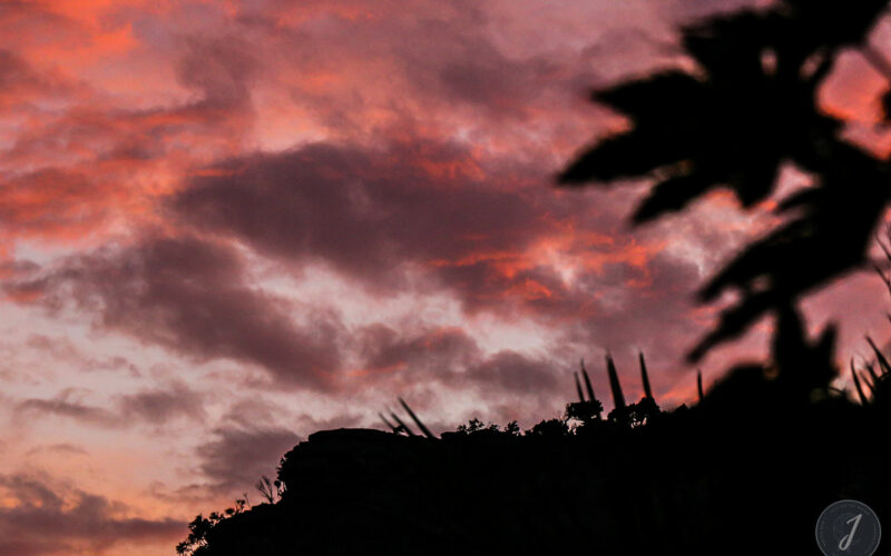 Ombres Chinoises - Lumière Salée - Grande Saline - Saint-Barthélemy - 2020