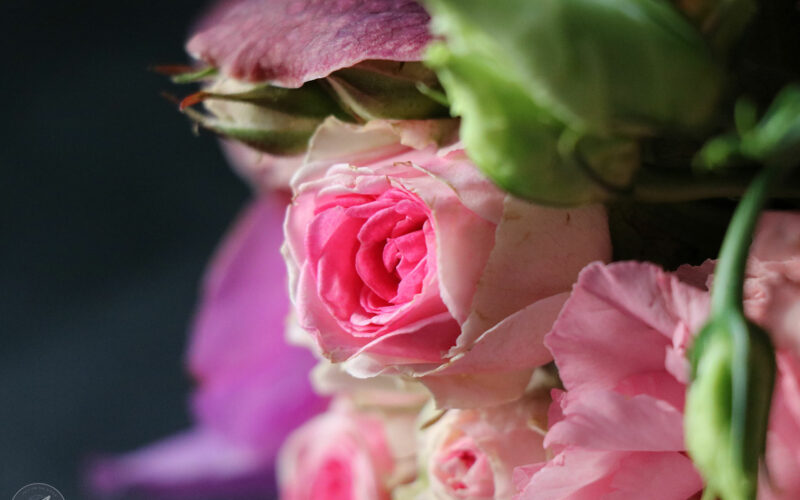 Photographie de mariage - Julie et Jacques - Saint-Barthélemy - 2017