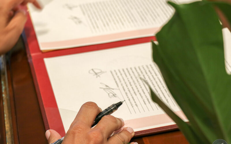 Photographie de mariage - Carole et Jimmy - Saint-Barthélemy - 2019