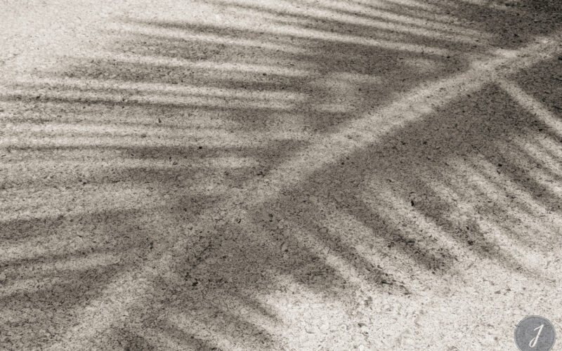 Shadows - Gouverneur - Saint-Barthélemy - 2021