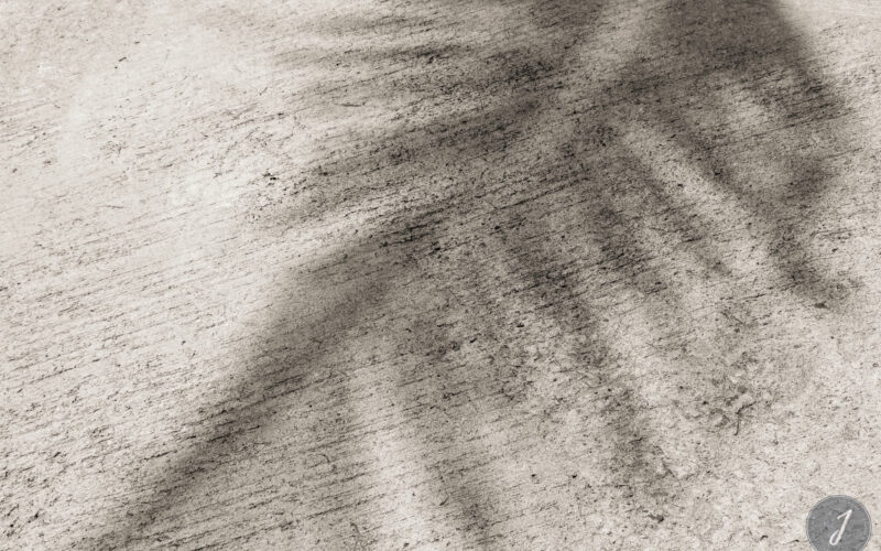 Shadows - Gouverneur - Saint-Barthélemy - 2021