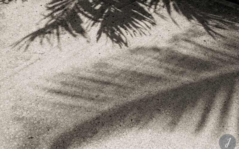 Shadows - Gouverneur - Saint-Barthélemy - 2021