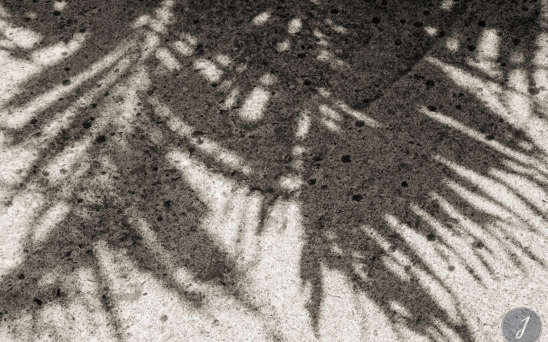 Shadows - Gouverneur - Saint-Barthélemy - 2021