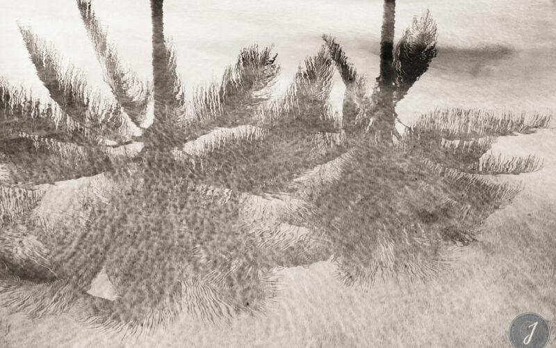 Shadows - Grand Fond - Saint-Barthélemy - 2021