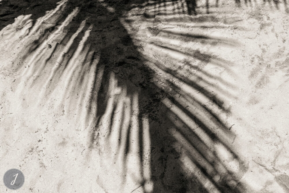 Shadows - Toiny - Saint-Barthélemy - 2021