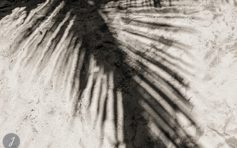 Shadows - Toiny - Saint-Barthélemy - 2021