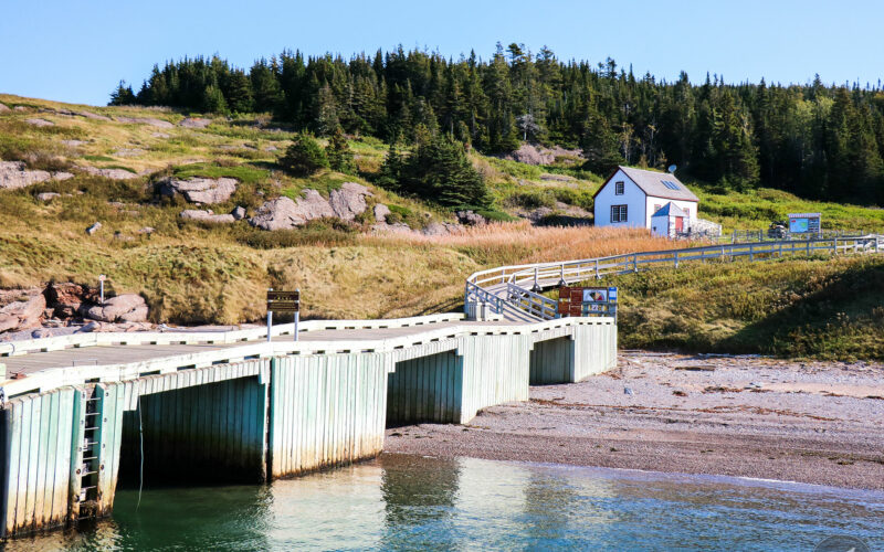 Ile Bonaventure - Gaspésie - Canada - 2019