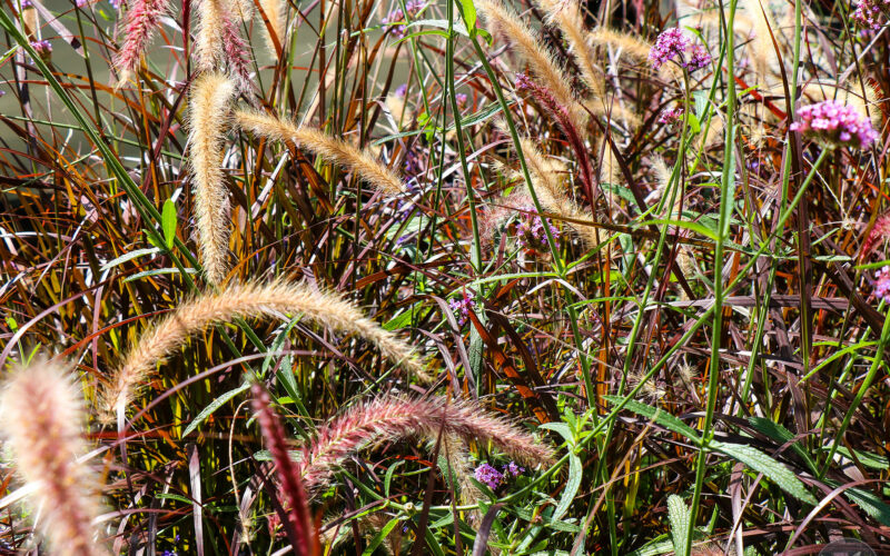 Chutes du Niagara - Canada - 2019
